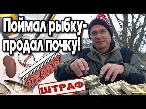 Видео: Как не продать почку за пойманную рыбу? Дядя Фёдор про новые штрафы.