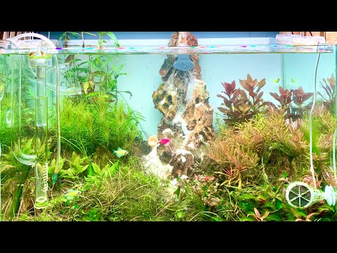 Видео: Изготовление  аквариумного пескопада за 4 минуты