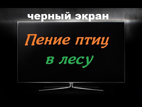 Видео: Пение ПТИЦ в Лесу / ЧЕРНЫЙ ЭКРАН для сна / БЕЛЫЙ ШУМ / Звуки для сна / Быстро Заснуть