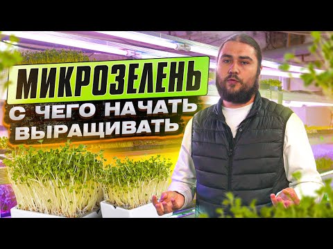 Видео: Мікрозелень. Майстер-клас із вирощування мікрозелені від Максима Черкашина. "Ферма здоров'я"