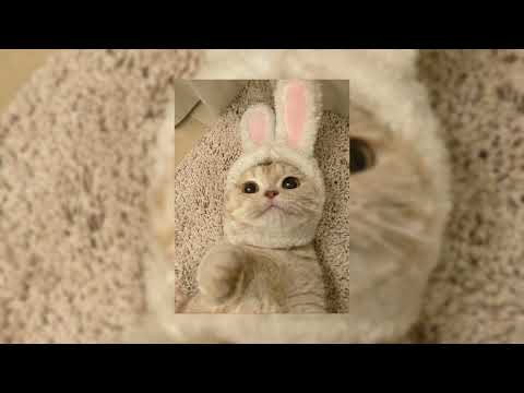 Видео: Андрей Губин-Ночь ожиданья ,холод(speed up)