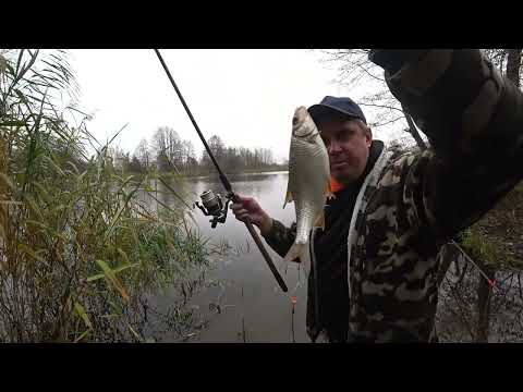 Видео: Рыбалка в Ноябре!  Рыба клюёт дико. Рыбалка поздней осенью.
