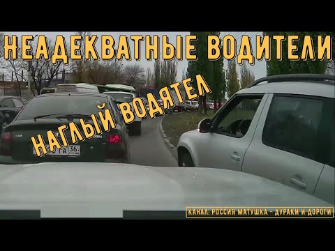 Видео: Неадекватные водители и хамы на дороге #799! Подборка на видеорегистратор!