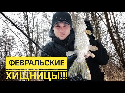 Видео: Ловля щуки в Феврале!!! Они разорвали эту приманку в клочья!!!