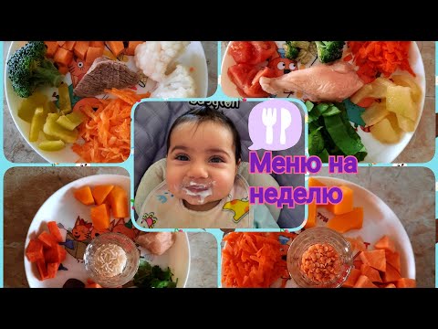 Видео: Питание ребенка в 10 месяцев🍼/Вкусные идеи/Меню для ребенка на неделю🍲/