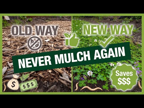 Видео: Я заменил мульчу ЭТИМ (моя почва процветает!)