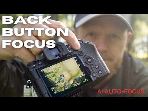 Видео: Имеет ли значение фокусировка задней кнопкой при использовании ИИ-автофокуса? | Настройка OM-1 BBF
