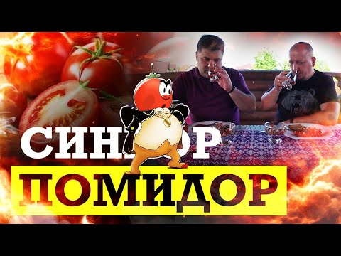 Видео: Синьор Помидор / Рецепт настойки на ПОМИДОРАХ