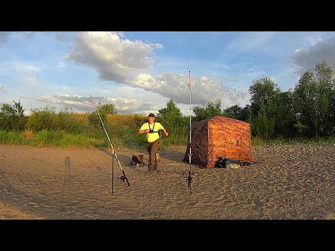 Видео: ЖОР КРУПНЯКА НА ДИКОМ ОСТРОВЕ! РЫБАЛКА НА КРОКОДИЛЫ.