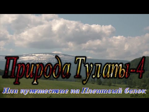 Видео: Природа Тулаты  4 или путешествие на Плешивый белок(полное)