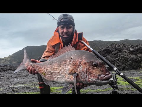 Видео: В этом месте всегда водится крупный люциан | Рыбалка с ночёвкой