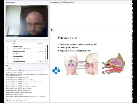 Видео: Насморк кошек. Скороходов Владислав. 24 05 2019