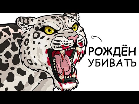 Видео: Ты – Снежный барс (И ЭТО ВСЯ ТВОЯ ЖИЗНЬ)