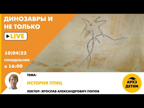 Видео: Занятие "История птиц" кружка "Динозавры и не только" с Ярославом Поповым