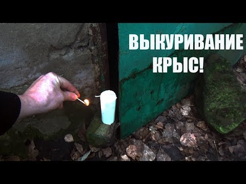 Видео: ВЫКУРИВАНИЕ КРЫС И МЫШЕЙ ДЫМОВЫМИ ШАШКАМИ!