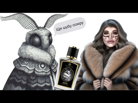 Видео: РАСПАКОВКА ZOOLOGIST / первое впечатление