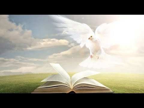 Видео: А.В.Клюев - Сейчас Благодатное Время Сделать Выбор - Путь с Богом в Новую Жизнь ✨Агендa✨ (28)