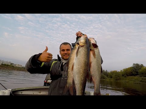 Видео: Ловля ЖЕРЕХА на Спиннинг ОСЕНЬЮ. КЛЮЁТ круче чем ВЕСНОЙ!!!