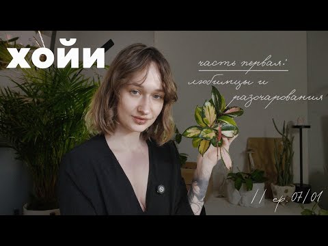 Видео: ХОЙИ без прикрас: ЛЮБОВЬ не С ПЕРВОГО ЛИСТА 🍂