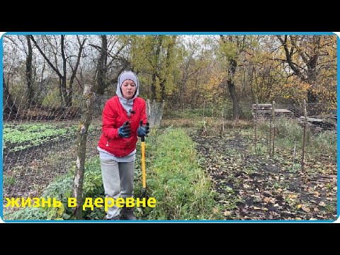 Видео: СОБРАЛИ ПОСЛЕДНИЙ УРОЖАЙ С ОГОРОДА И ПОДГОТОВИЛИ ТРАКТОР К РЕМОНТУ, ЖИЗНЬ В ДЕРЕВНЕ