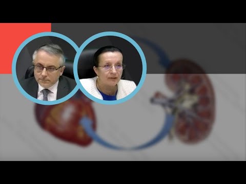 Видео: Новикова Т.Н., Земченков А.Ю.: Хроническая болезнь почек и сердечно-сосудистый риск