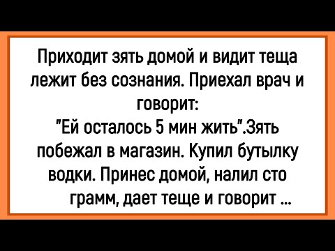 Видео: 💎Как Тёща Сознание Потеряла! Сборник Смешных Анекдотов! Юмор! Позитив!