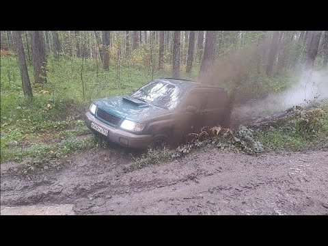 Видео: день рождения 01.09.24. У меня в гостях Субаристы)