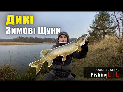Видео: Кльов ЩУКИ На ДИКАРІ - Три ПРАВИЛА Щоб Ловити Більше