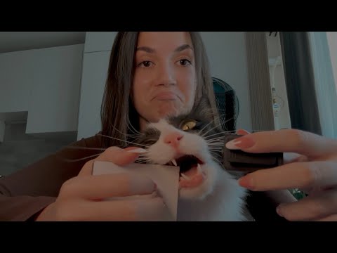 Видео: мой кот пробует асмр