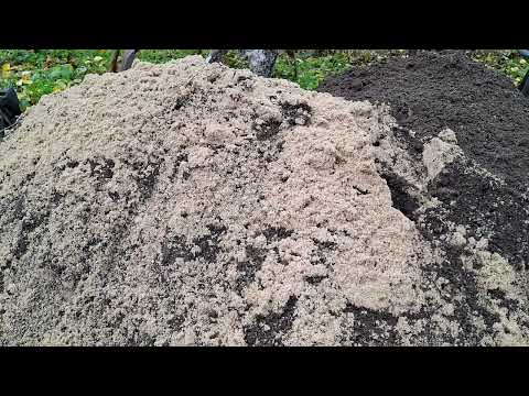 Видео: Субстрати для вигонки тюльпанів! Підготовка до посадки.