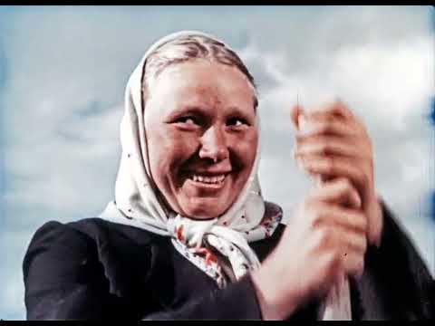 Видео: Улучшение лугов и пастбищ, 1952