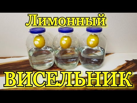 Видео: ЛИМОННАЯ ВОДКА ( ВИСЕЛЬНИК ) простой рецепт