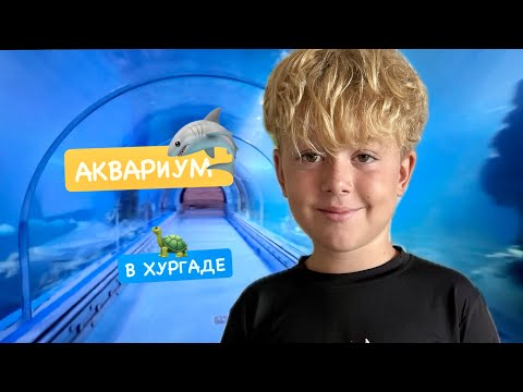 Видео: Самый большой аквариум в Хургаде кормпленип акулы 🦈| Grand Aquarium in Hurghada 