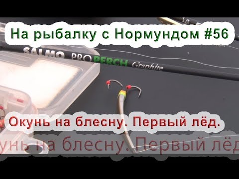 Видео: Окунь на блесну. Первый лёд. На рыбалку с Нормундом #56