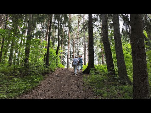 Видео: Экскурсия "Сокровища медных рудников речки Ивы", Пермь, 1июня 2025
