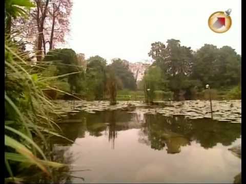 Видео: Зачарованные сады ч.13