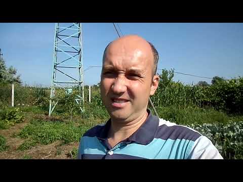 Видео: Самодельный ветрогенератор и 4G интернет