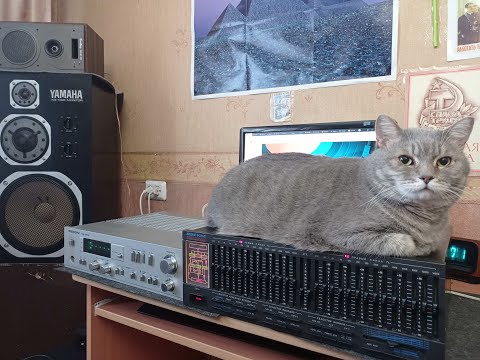 Видео: Как подключить эквалайзер к усилителю, а усилитель к компу