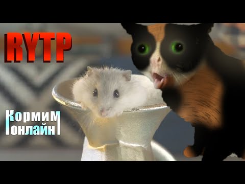 Видео: SlivkiShow | ОТКОРМИЛИ КОТЭКА        [RYTP]