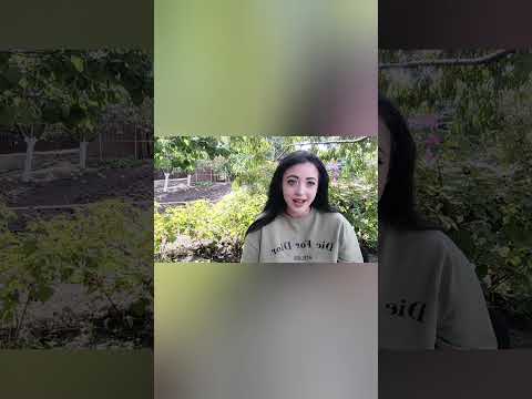 Видео: Анжелика СНЕЖИНСКАЯ/ доказано! Внучки нет!/ Понты дороже денег, в кредите у Ютуба 