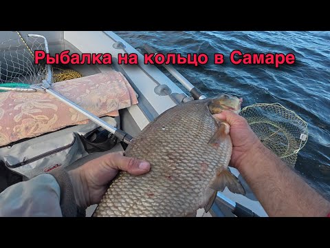 Видео: РЫБАЛКА НА КОЛЬЦО В САМАРЕ. РАЙОН ШИРЯЕВО.