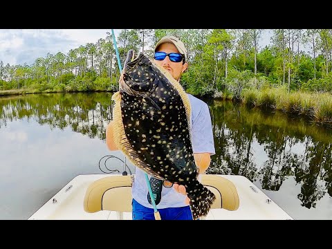 Видео: Фаршированная, запечённая камбала! Поймайте, почистите и приготовьте