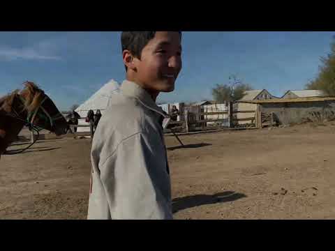 Видео: Конная стрельба из лука п. Цаган-Нур