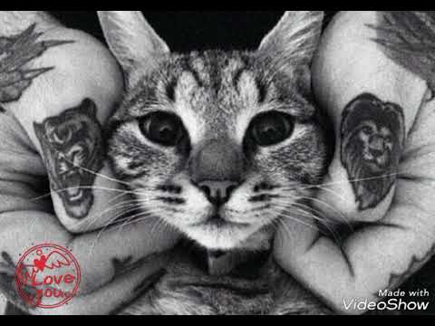 Видео: Многоточие - главное быть хорошим человеком