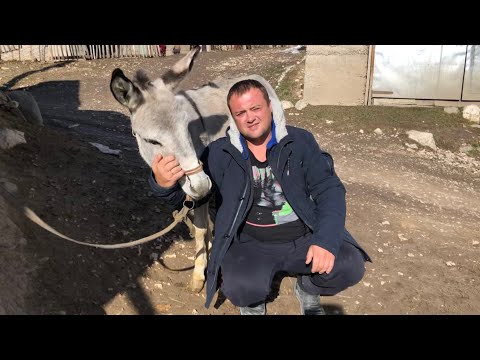 Видео: Узбекистан.Маленькая Швейцария.Горный кишлак Гелон.