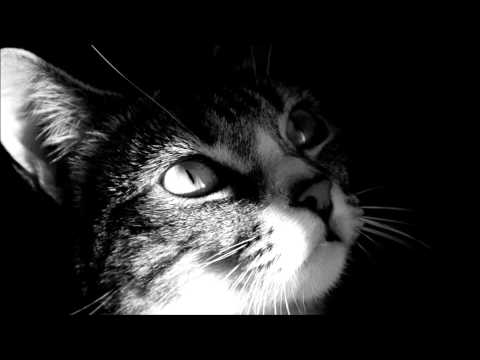 Видео: Alfaro - м.у.р.м.и.у