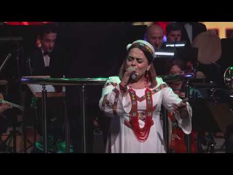 Видео: 6 мая 2025 г.