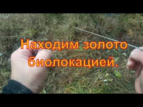 Видео: Как добыть золото. Биолокация I