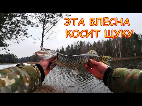 Видео: Ловля щуки на колебалки | Советская блесна косит щук