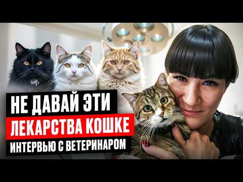 Видео: Опасно! Эти вет препараты назначают кошкам